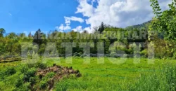 AMPIO TERRENO AGRICOLO