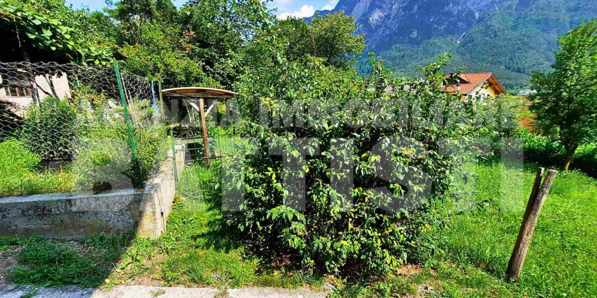 DUE LOTTI IN POSIZIONE PANORAMICA