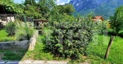DUE LOTTI IN POSIZIONE PANORAMICA