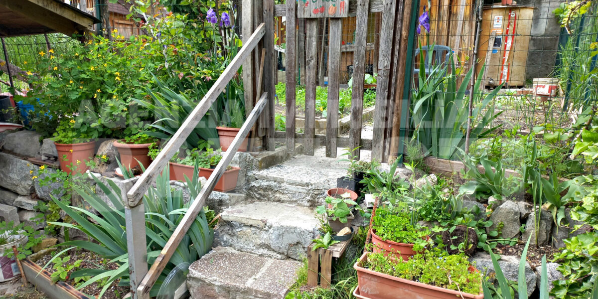 APPARTAMENTO CON ORTO E TERRAZZO