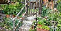 APPARTAMENTO CON ORTO E TERRAZZO
