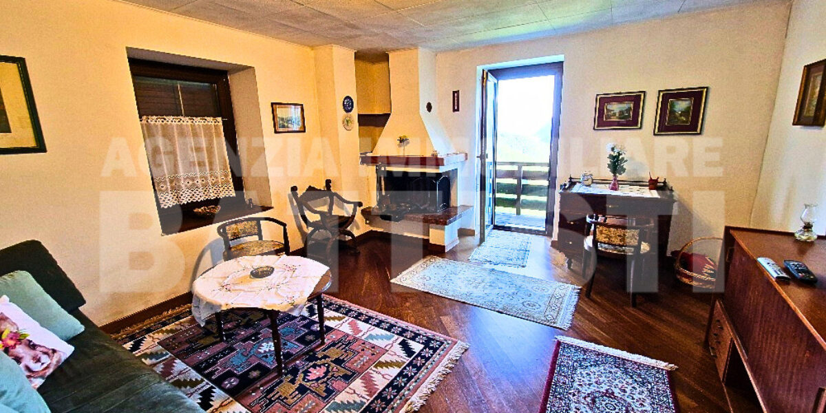 AMPIO ALLOGGIO IN BIFAMILIARE