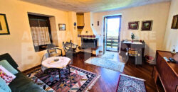 AMPIO ALLOGGIO IN BIFAMILIARE