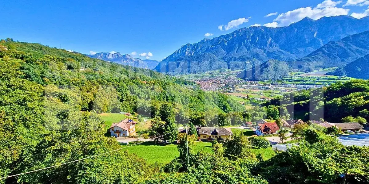 AMPIO ALLOGGIO IN BIFAMILIARE