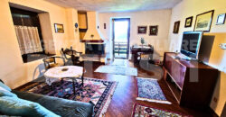 AMPIO ALLOGGIO IN BIFAMILIARE