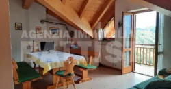 ALLOGGIO IN COLLINA