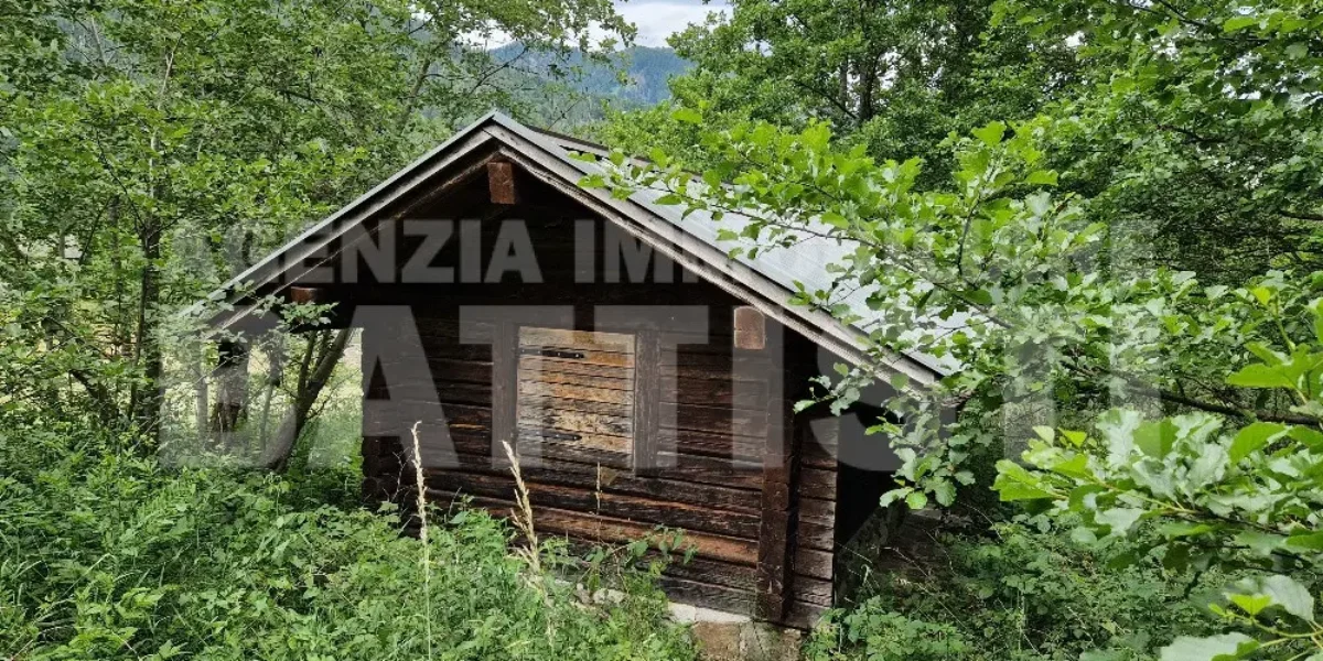 TERRENO AGRICOLO CON MAGAZZINO
