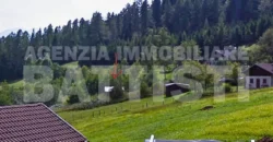 TERRENO AGRICOLO CON MAGAZZINO