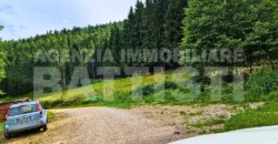 TERRENO AGRICOLO CON MAGAZZINO