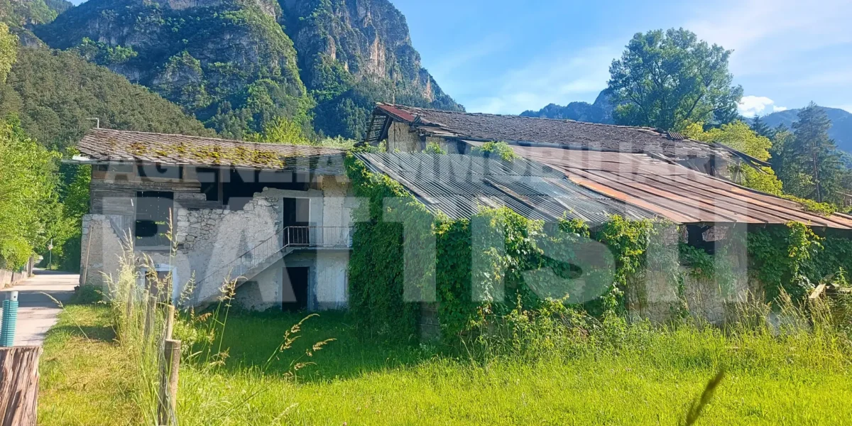 AMPIO CASALE CON TERRENO