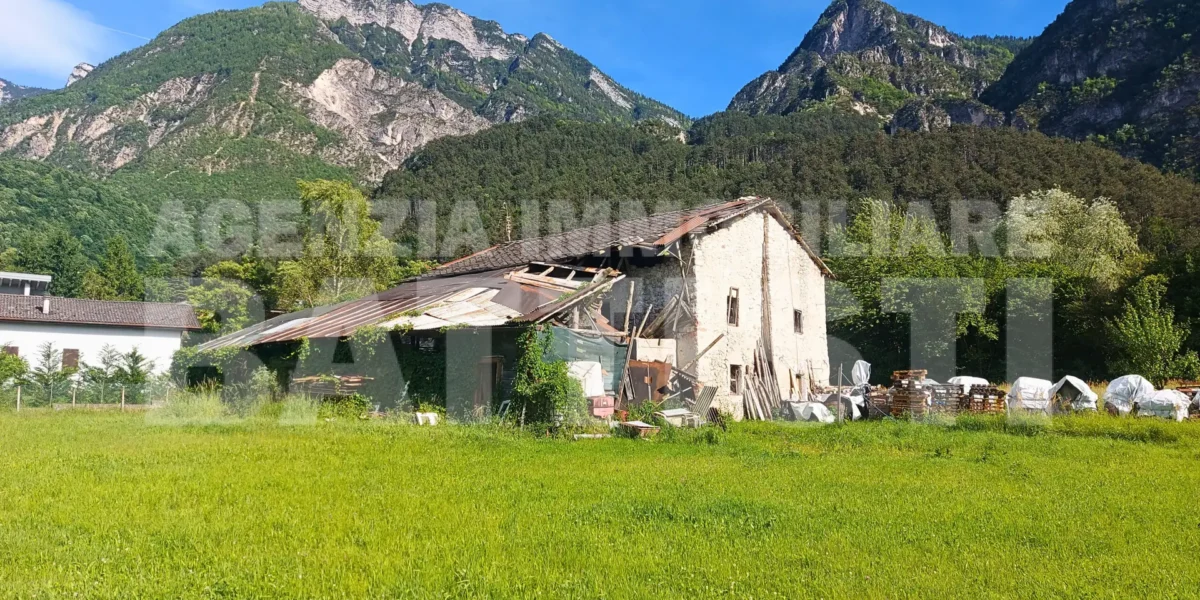 AMPIO CASALE CON TERRENO