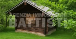 TERRENO AGRICOLO CON MAGAZZINO
