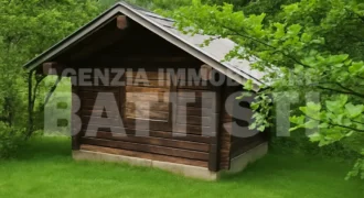 TERRENO AGRICOLO CON MAGAZZINO