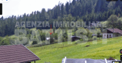 TERRENO AGRICOLO CON MAGAZZINO