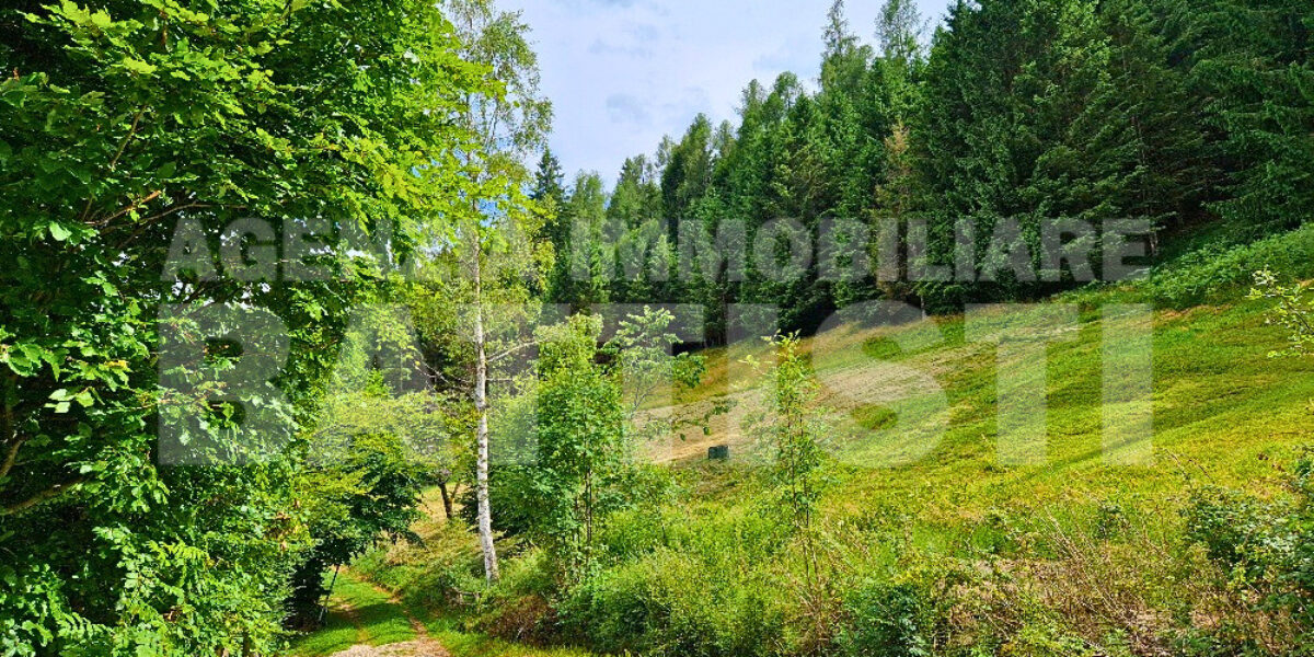 TERRENO AGRICOLO CON MAGAZZINO
