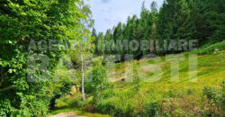 TERRENO AGRICOLO CON MAGAZZINO