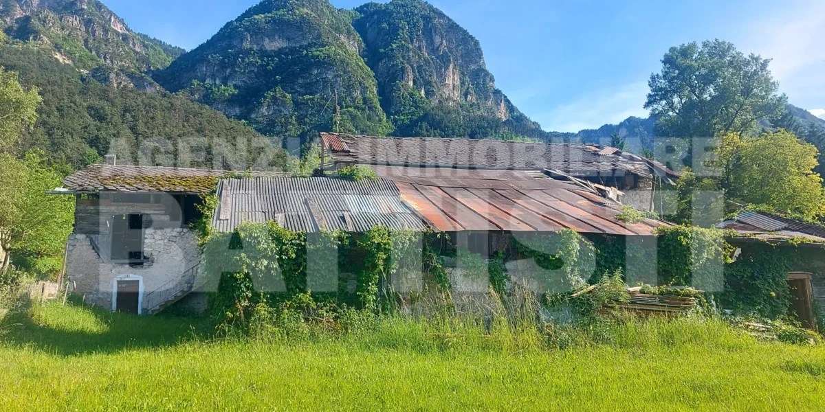 AMPIO CASALE CON TERRENO