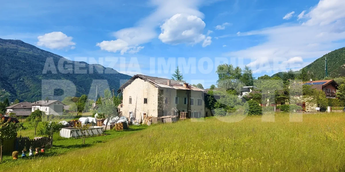 AMPIO CASALE CON TERRENO