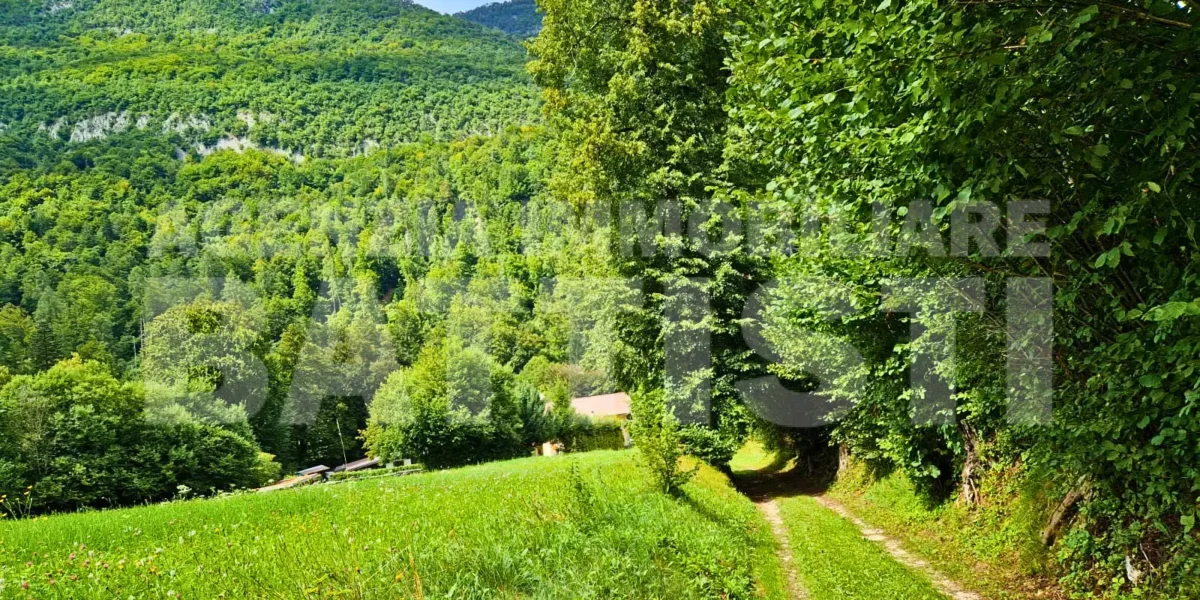 VILLA INDIPENDENTE CON TERRENO