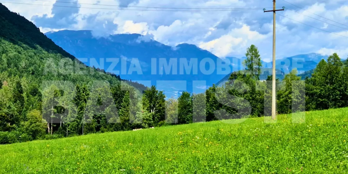 VILLA INDIPENDENTE CON TERRENO