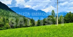VILLA INDIPENDENTE CON TERRENO