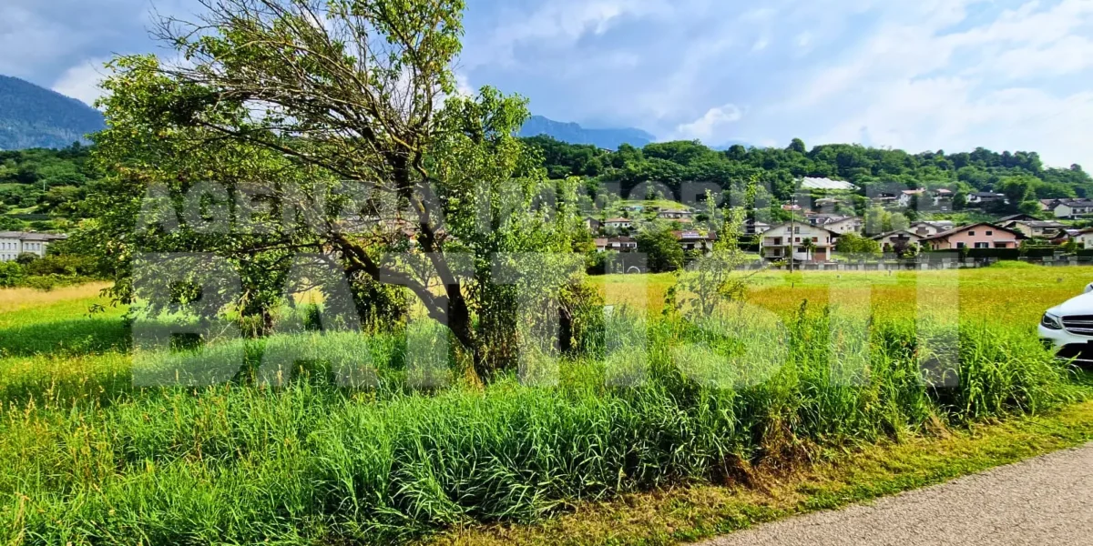 TERRENO AGRICOLO VICINO AL CENTRO
