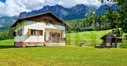 VILLA INDIPENDENTE CON TERRENO
