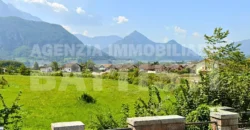TERRENO AGRICOLO VICINO AL CENTRO