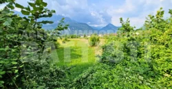 TERRENO AGRICOLO VICINO AL CENTRO