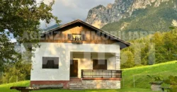 VILLA INDIPENDENTE CON TERRENO