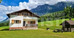 VILLA INDIPENDENTE CON TERRENO