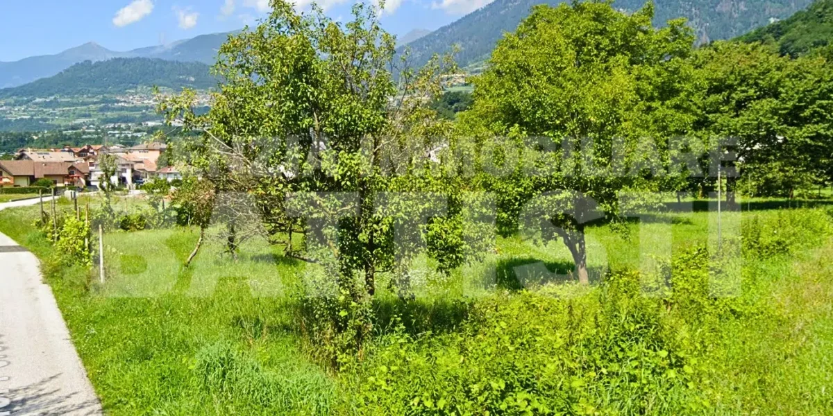 TERRENO AGRICOLO VICINO AL CENTRO