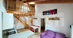 LUMINOSO ALLOGGIO CON SOPPALCO