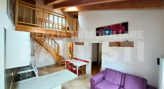 LUMINOSO ALLOGGIO CON SOPPALCO