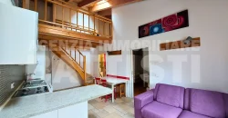 LUMINOSO ALLOGGIO CON SOPPALCO