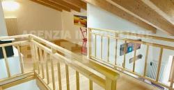 LUMINOSO ALLOGGIO CON SOPPALCO