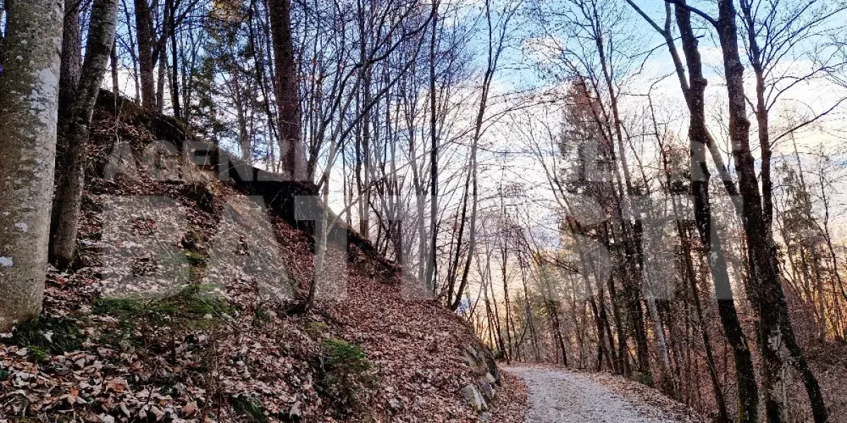 CASETTA INDIPENDENTE CON TERRENO