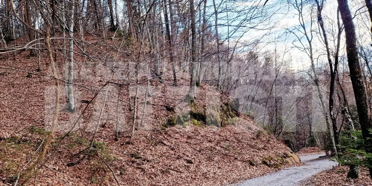 CASETTA INDIPENDENTE CON TERRENO