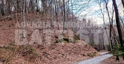 CASETTA INDIPENDENTE CON TERRENO