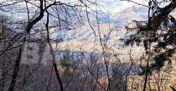 CASETTA INDIPENDENTE CON TERRENO