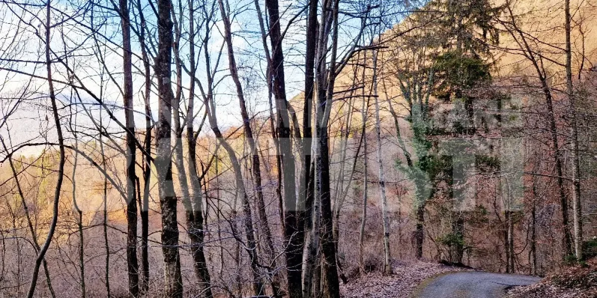 CASETTA INDIPENDENTE CON TERRENO