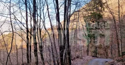 CASETTA INDIPENDENTE CON TERRENO