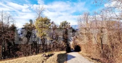 CASETTA INDIPENDENTE CON TERRENO