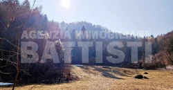 CASETTA INDIPENDENTE CON TERRENO