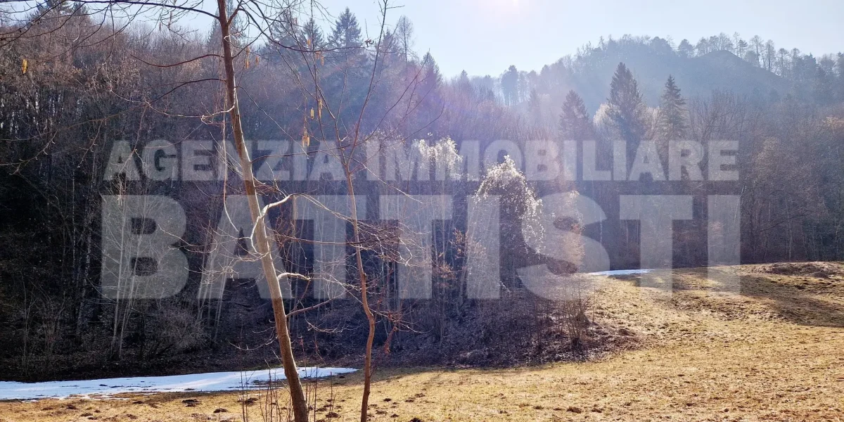 CASETTA INDIPENDENTE CON TERRENO
