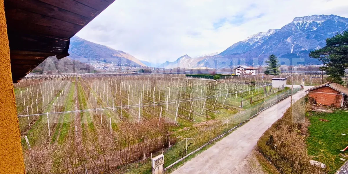 APPARTAMENTO IMMERSO NEL VERDE