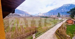 APPARTAMENTO IMMERSO NEL VERDE