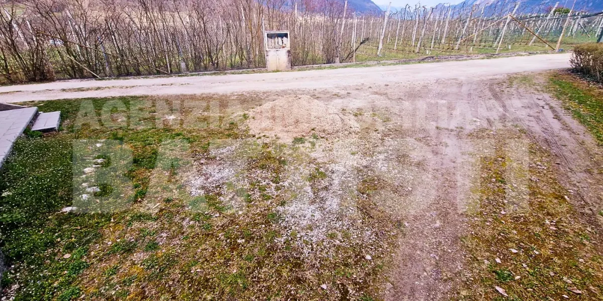 APPARTAMENTO IMMERSO NEL VERDE