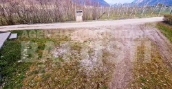 APPARTAMENTO IMMERSO NEL VERDE