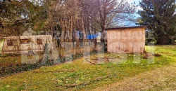 APPARTAMENTO IMMERSO NEL VERDE